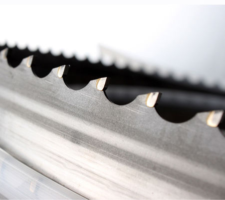 Rivoluzionate la vostra lavorazione del legno con le lame della nostra banda Saw Blade Roll