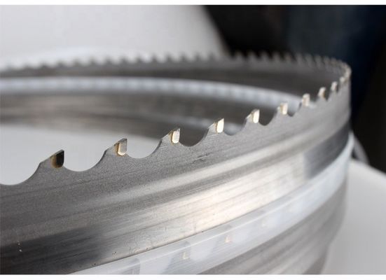 Rivoluzionate la vostra lavorazione del legno con le lame della nostra banda Saw Blade Roll
